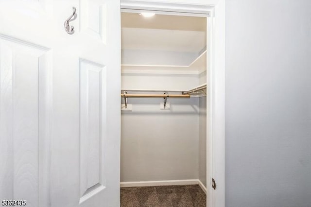 1 N Slope Unit 1, Union Twp, NJ 08809 - spacious closet featuring carpet