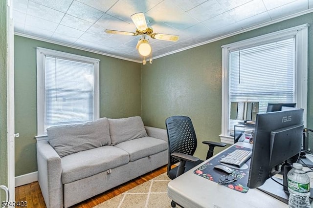 315 Green St, Boonton Town, NJ 07005 - office featuring crown molding, healthy amount of natural light, wood finished floors, and ceiling fan