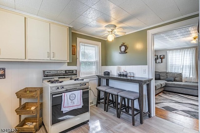315 Green St, Boonton Town, NJ 07005 - kitchen with white gas stove, crown molding, ceiling fan, light wood-style floors, and a wainscoted wall