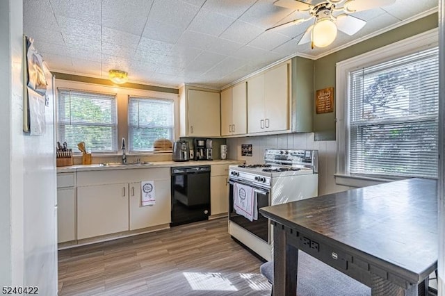 315 Green St, Boonton Town, NJ 07005 - kitchen with black dishwasher, white gas range, healthy amount of natural light, light countertops, and crown molding