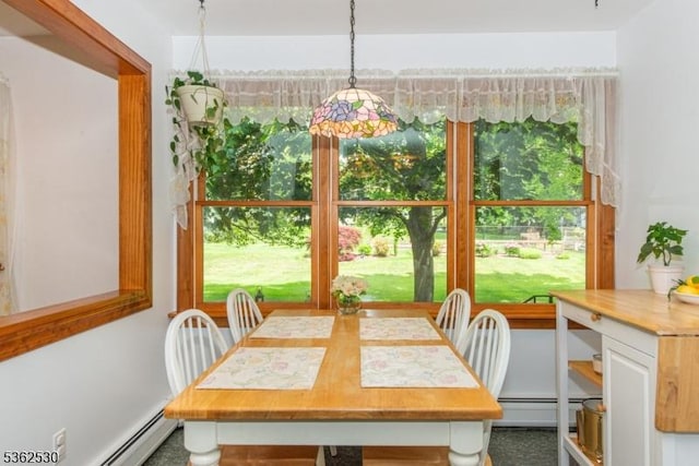 9 Ridge Rd, Roxbury Twp, NJ 07876 - dining space featuring a baseboard radiator and baseboard heating