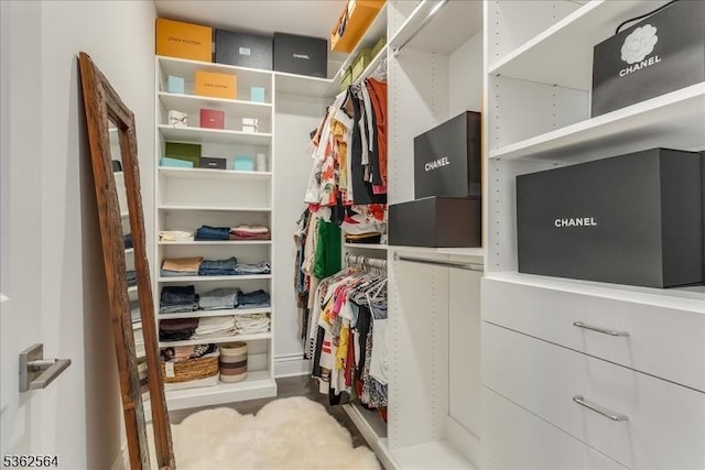 302 Tiffany Way Unit 302, Watchung Boro, NJ 07069 - view of walk in closet