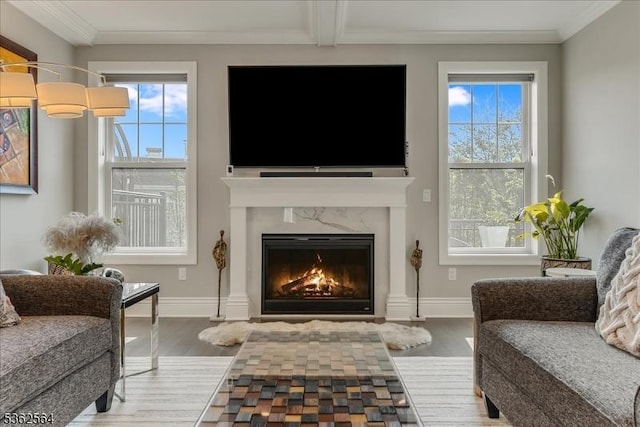 302 Tiffany Way Unit 302, Watchung Boro, NJ 07069 - living area featuring wood finished floors, a premium fireplace, healthy amount of natural light, and ornamental molding