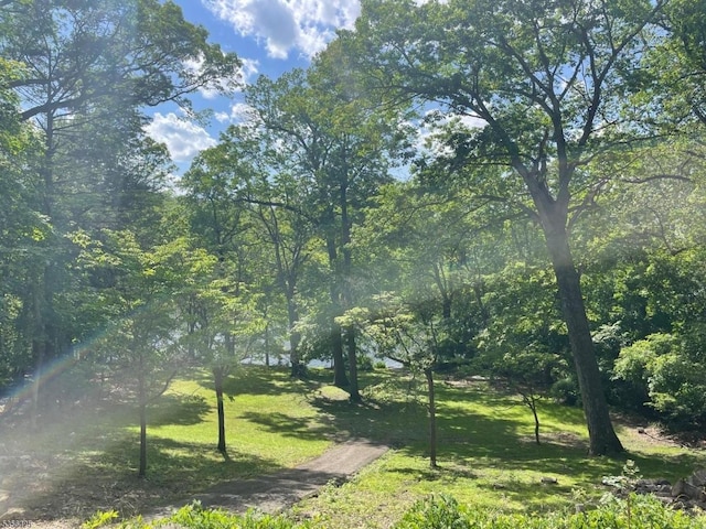 297 Terhune Dr, Wayne Twp, NJ 07470 - view of green lawn with a forest view