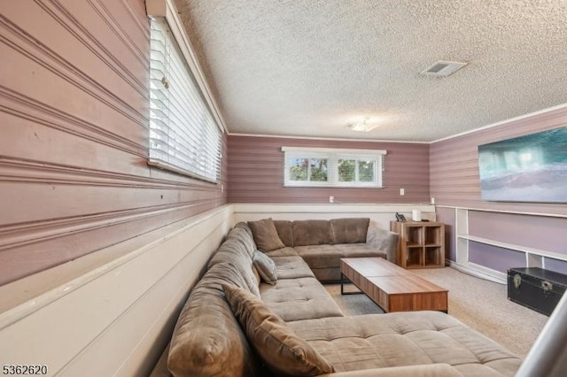 63 Hillsdale Rd, East Brunswick Twp, NJ 08816 - living area featuring carpet, a textured ceiling, and wood walls
