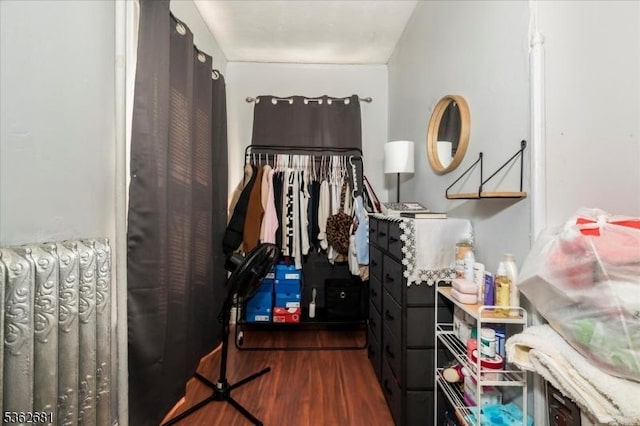141 Berckman St, Plainfield City, NJ 07062 - bedroom featuring dark wood finished floors