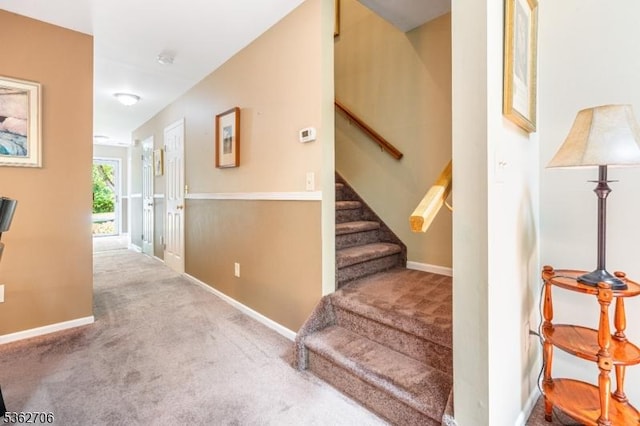 6 Pelican Pt, Hampton Twp, NJ 07860 - stairs featuring carpet flooring and baseboards