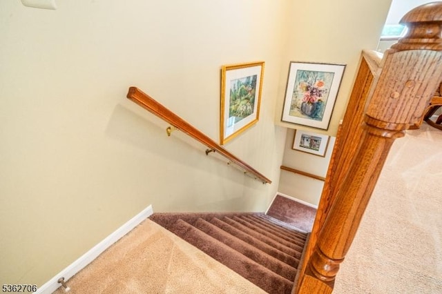 6 Pelican Pt, Hampton Twp, NJ 07860 - staircase featuring carpet floors and baseboards
