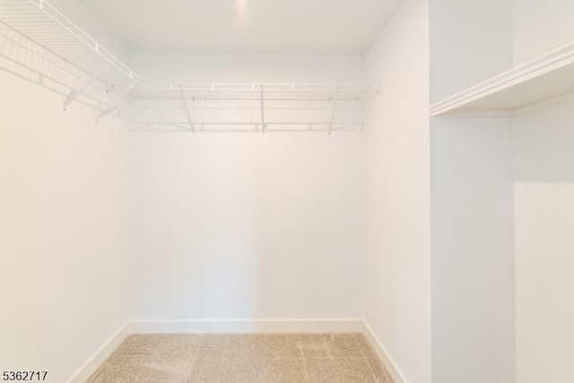 49 Coventry Rd, Hardyston Twp, NJ 07419 - spacious closet with light carpet