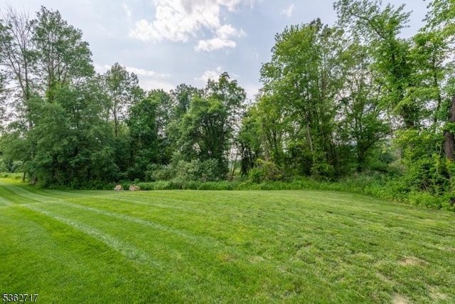 49 Coventry Rd, Hardyston Twp, NJ 07419 - view of grassy yard