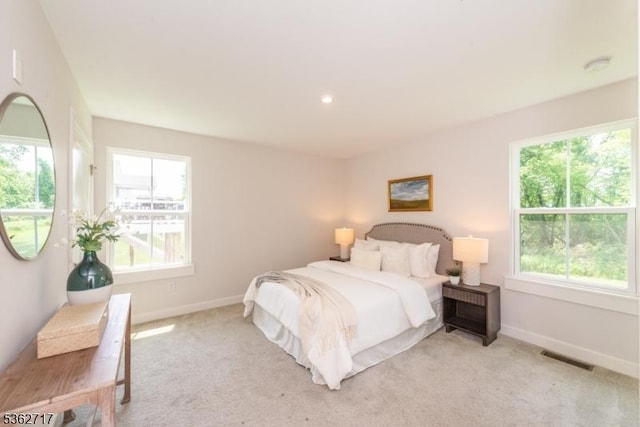 49 Coventry Rd, Hardyston Twp, NJ 07419 - bedroom featuring multiple windows, light colored carpet, and baseboards