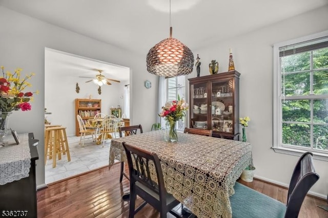 17 Willow Cir, Hamburg Boro, NJ 07419 - dining area featuring plenty of natural light, ceiling fan, and wood finished floors