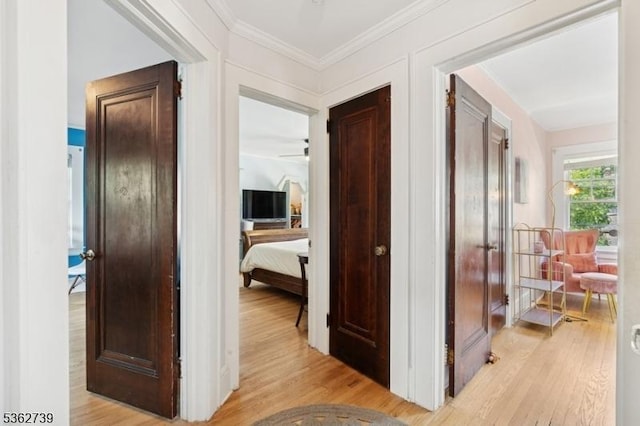 174 Garfield Pl, Maplewood Twp, NJ 07040 - hallway with light wood finished floors and crown molding