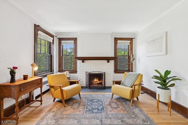 174 Garfield Pl, Maplewood Twp, NJ 07040 - sitting room with light wood-style floors, healthy amount of natural light, and a fireplace