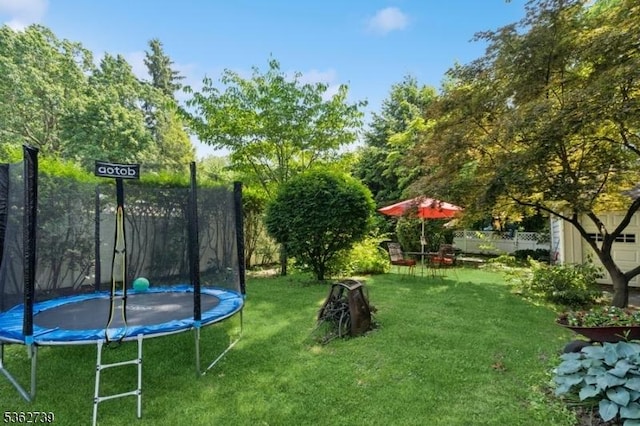 174 Garfield Pl, Maplewood Twp, NJ 07040 - view of green lawn featuring a trampoline