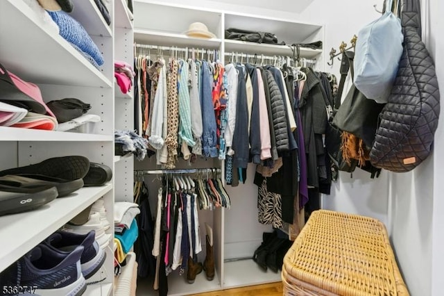 3607 Park Pl, Springfield Twp, NJ 07081 - view of spacious closet