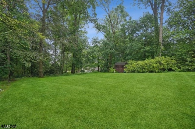 88 Pomeroy Rd, Madison Boro, NJ 07940 - view of grassy yard