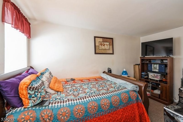 46A James St Unit B, Newark City, NJ 07102 - view of carpeted bedroom