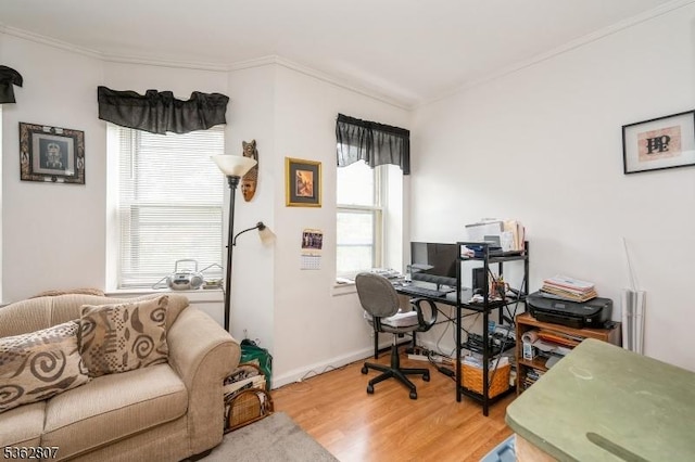 46A James St Unit B, Newark City, NJ 07102 - office space featuring wood finished floors, crown molding, and baseboards