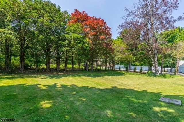 138 Bartley Flanders Rd, Mount Olive Twp, NJ 07836 - view of yard