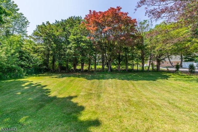 138 Bartley Flanders Rd, Mount Olive Twp, NJ 07836 - view of yard