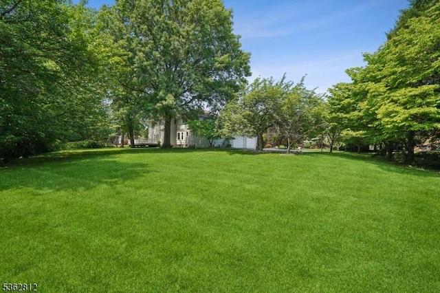 8 Debra Ct, Scotch Plains Twp, NJ 07076 - view of green lawn