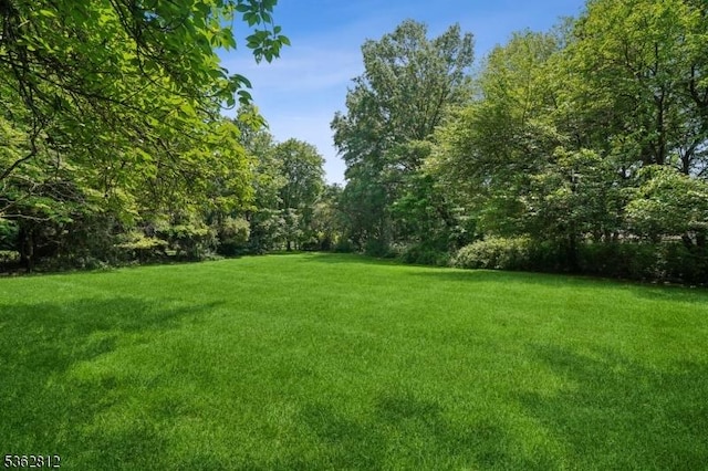 8 Debra Ct, Scotch Plains Twp, NJ 07076 - view of green lawn featuring a forest view