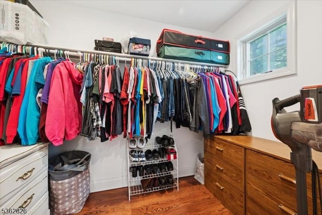 13 Oklahoma Trl, Hopatcong Boro, NJ 07843 - walk in closet featuring wood finished floors