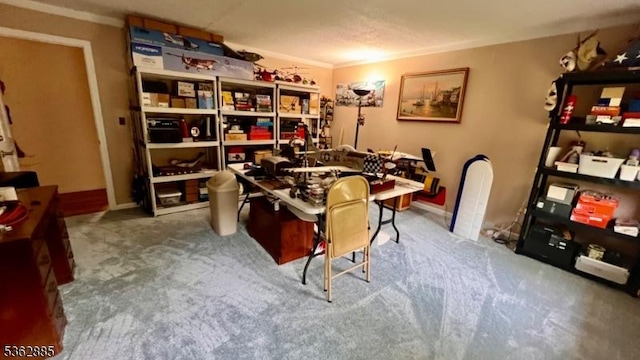 89 Mackerley Rd, Green Twp, NJ 07860 - office featuring carpet, crown molding, and baseboards