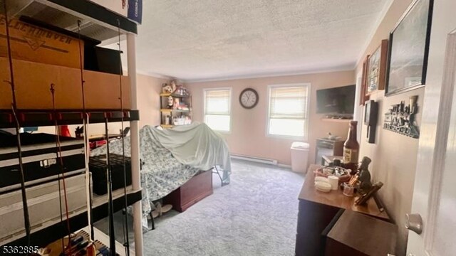 89 Mackerley Rd, Green Twp, NJ 07860 - bedroom featuring carpet, a textured ceiling, a baseboard radiator, and crown molding