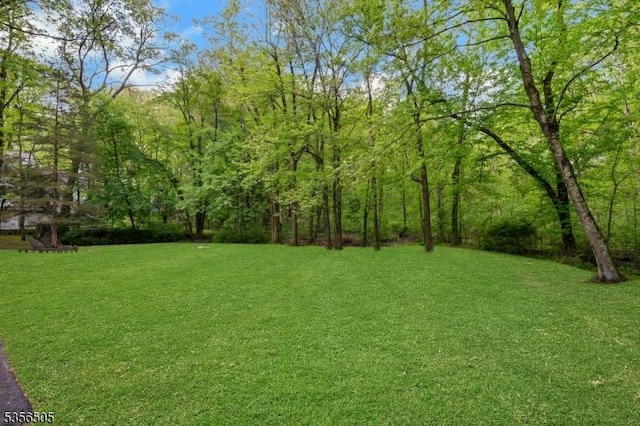 34 Crane Rd, Mountain Lakes Boro, NJ 07046 - view of grassy yard with a forest view