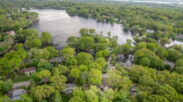 34 Crane Rd, Mountain Lakes Boro, NJ 07046 - aerial view of a large body of water and a forest