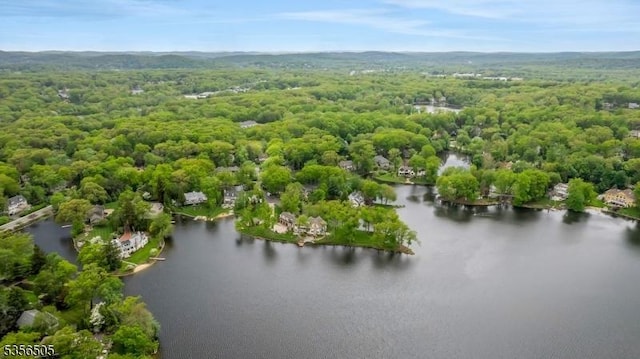 34 Crane Rd, Mountain Lakes Boro, NJ 07046 - drone / aerial view of a forest and a large body of water