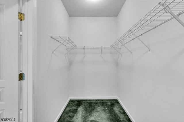 1206 Conrad Way, Franklin Twp, NJ 08873 - spacious closet featuring carpet flooring