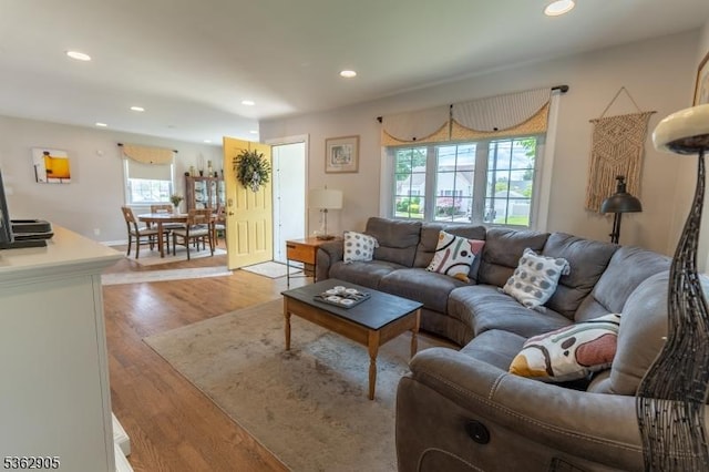 550 Melrose Ave, South Plainfield Boro, NJ 07080 - living room featuring light wood-style flooring and recessed lighting