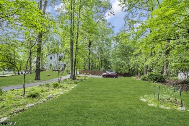 72 Quenby Mountain Rd, Liberty Twp, NJ 07838 - view of green lawn