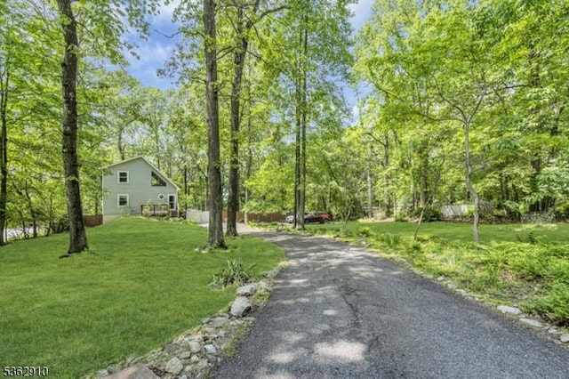 72 Quenby Mountain Rd, Liberty Twp, NJ 07838 - view of asphalt driveway