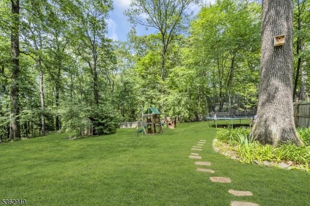 72 Quenby Mountain Rd, Liberty Twp, NJ 07838 - view of yard featuring a playground and a trampoline