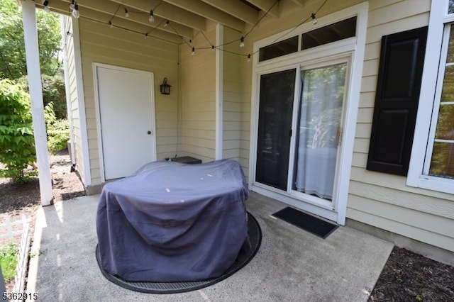 97 Wescott Rd, Bedminster Twp, NJ 07921 - view of patio with a grill