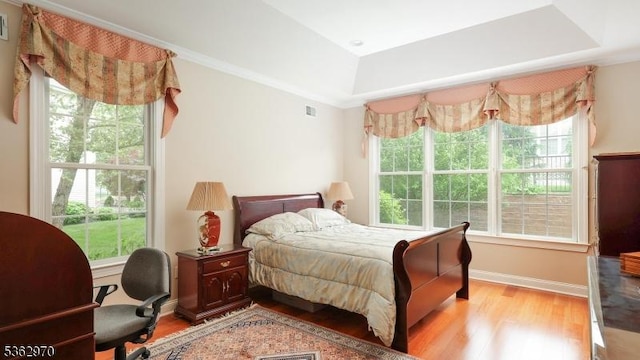 9 Independence Ct, Franklin Twp, NJ 08873 - bedroom featuring light wood finished floors and multiple windows