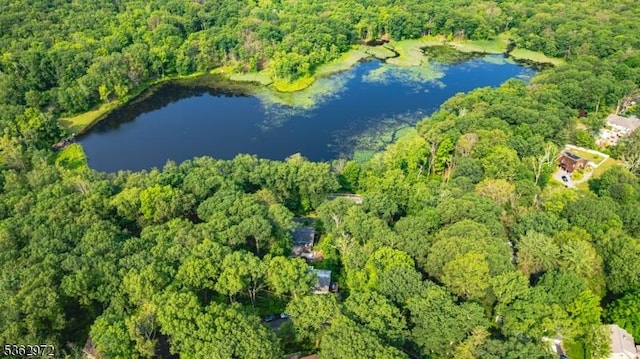 16 Sunset Trl, Rockaway Twp, NJ 07866 - drone / aerial view of a forest and a large body of water