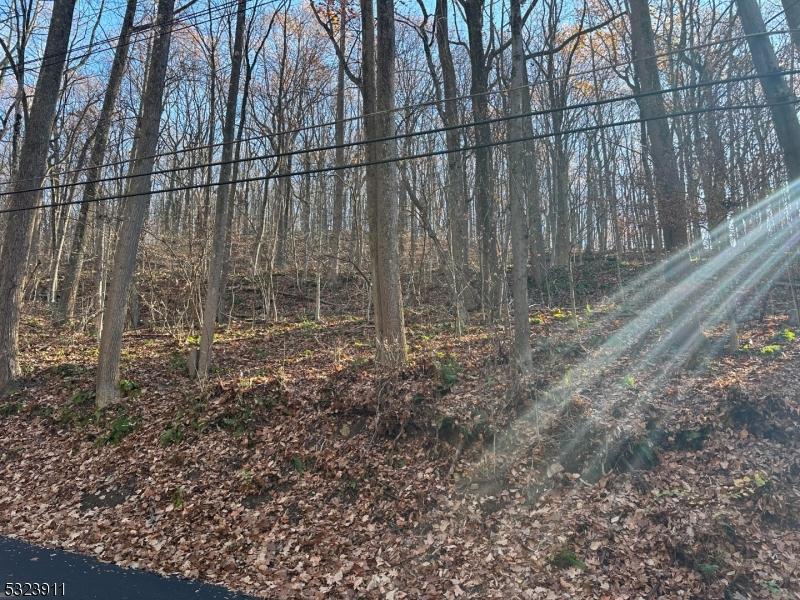 120 Millbrook Rd, Franklin Twp, NJ 07882