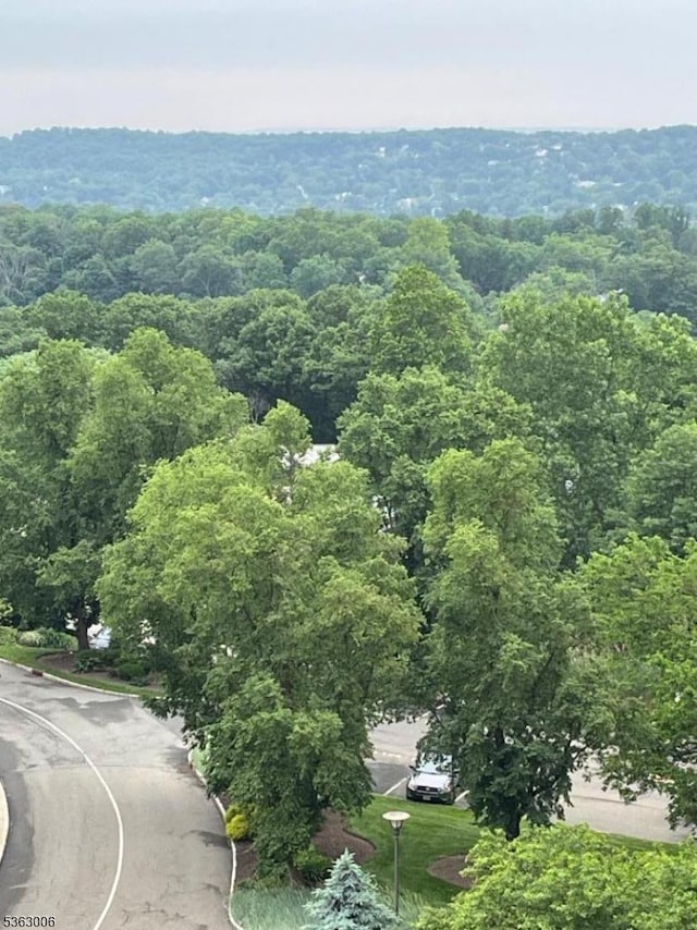 2 Claridge Dr Unit 7Ie, Verona Twp, NJ 07044 - aerial view