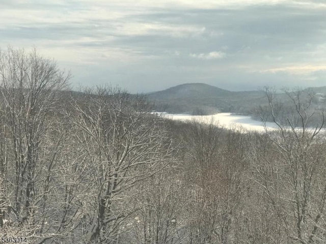 6 Summit Ter, Kinnelon Boro, NJ 07405 - view of mountain backdrop