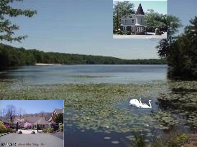 6 Summit Ter, Kinnelon Boro, NJ 07405 - water view