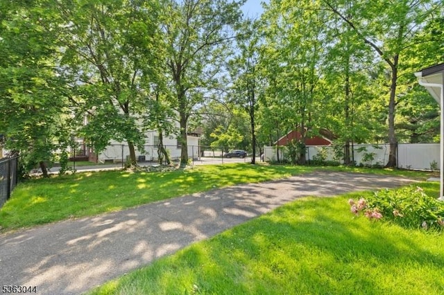 856 Maurice Ave, Rahway City, NJ 07065 - view of yard