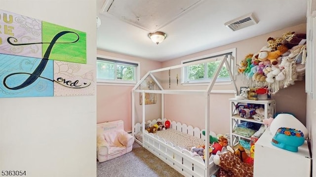48 Copeley Rd, Hampton Twp, NJ 07860 - bedroom with multiple windows, carpet flooring, and attic access