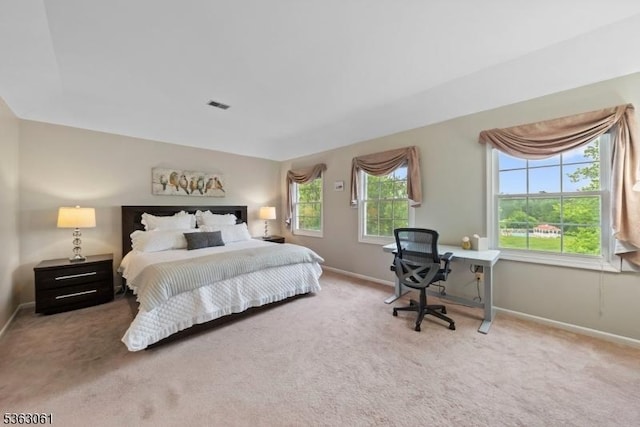 6 Fellen Pl, Hillsborough Twp, NJ 08844 - bedroom with carpet flooring and baseboards