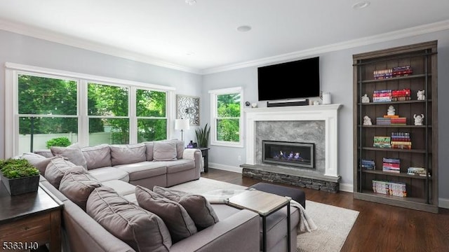 120 Cottage Pl, Westfield Town, NJ 07090 - living area featuring ornamental molding, a fireplace with raised hearth, dark wood-style flooring, and baseboards