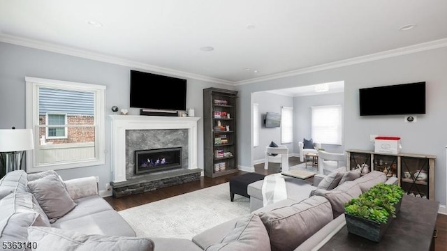 120 Cottage Pl, Westfield Town, NJ 07090 - living area with crown molding, healthy amount of natural light, a fireplace with raised hearth, and wood finished floors